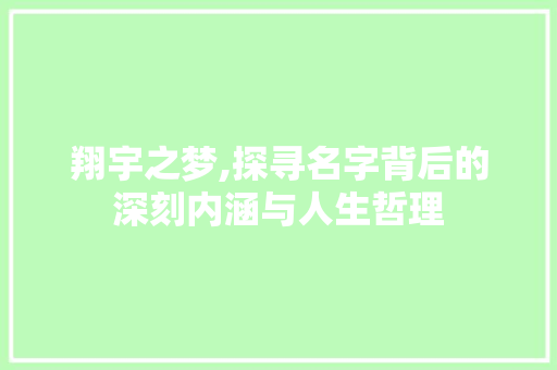 翔宇之梦,探寻名字背后的深刻内涵与人生哲理 商业文稿