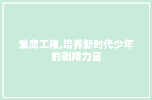 雏鹰工程,培养新时代少年的翱翔力量