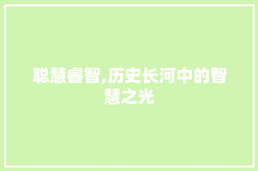 聪慧睿智,历史长河中的智慧之光