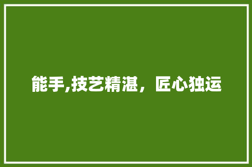 能手,技艺精湛，匠心独运