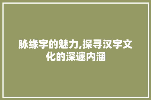 脉缘字的魅力,探寻汉字文化的深邃内涵