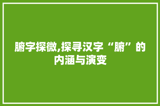 腑字探微,探寻汉字“腑”的内涵与演变 商业文稿