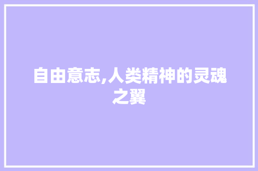 自由意志,人类精神的灵魂之翼