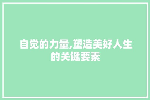 自觉的力量,塑造美好人生的关键要素