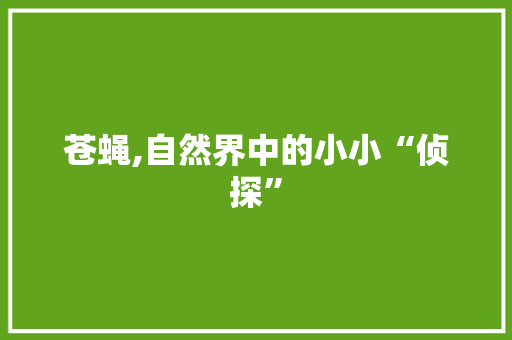 苍蝇,自然界中的小小“侦探”