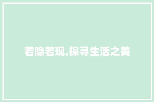 若隐若现,探寻生活之美