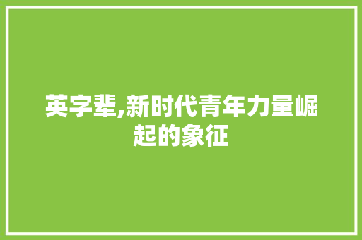 英字辈,新时代青年力量崛起的象征