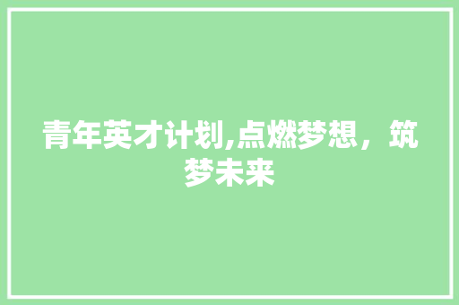 青年英才计划,点燃梦想，筑梦未来