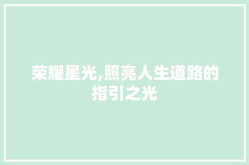 荣耀星光,照亮人生道路的指引之光 商业文稿