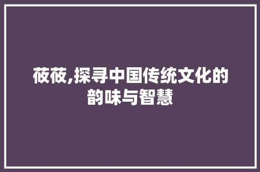 莜莜,探寻中国传统文化的韵味与智慧
