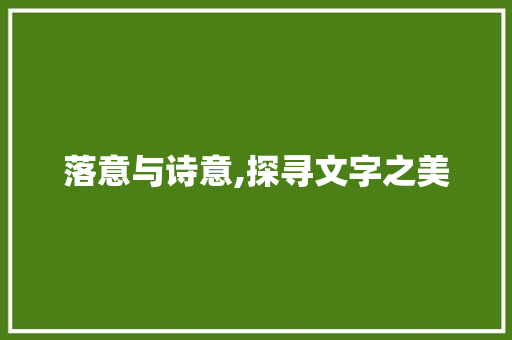 落意与诗意,探寻文字之美