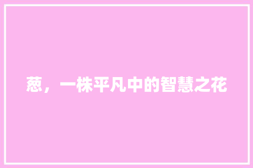 葱，一株平凡中的智慧之花