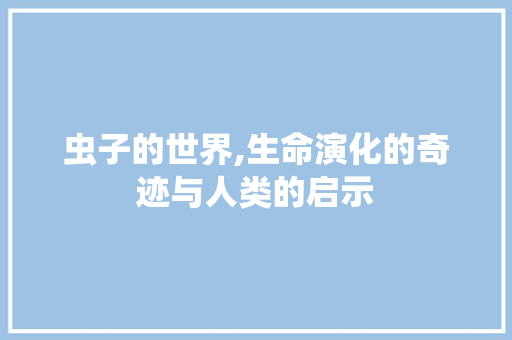 虫子的世界,生命演化的奇迹与人类的启示