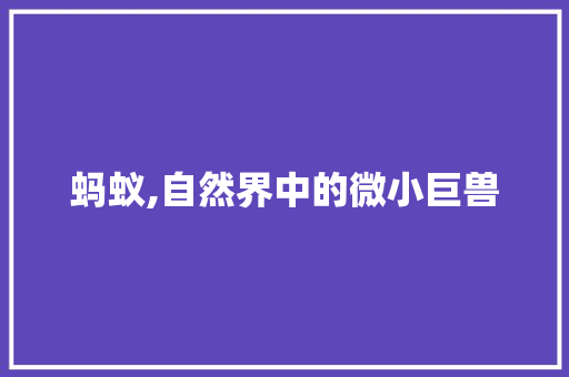蚂蚁,自然界中的微小巨兽