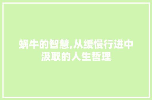 蜗牛的智慧,从缓慢行进中汲取的人生哲理