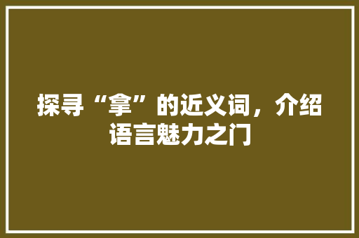 探寻“拿”的近义词，介绍语言魅力之门