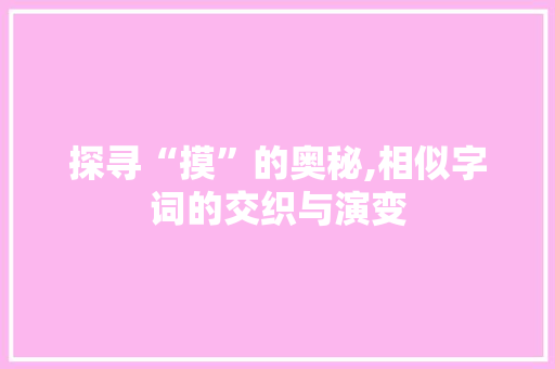 探寻“摸”的奥秘,相似字词的交织与演变