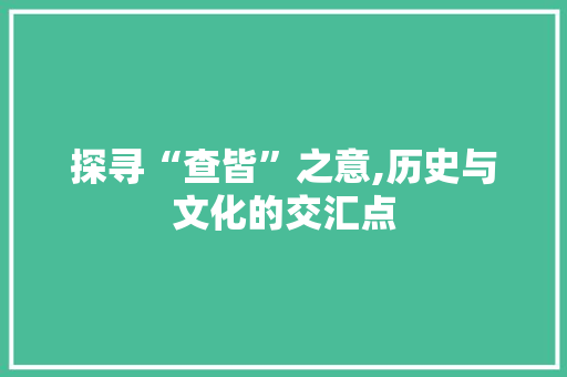 探寻“查皆”之意,历史与文化的交汇点
