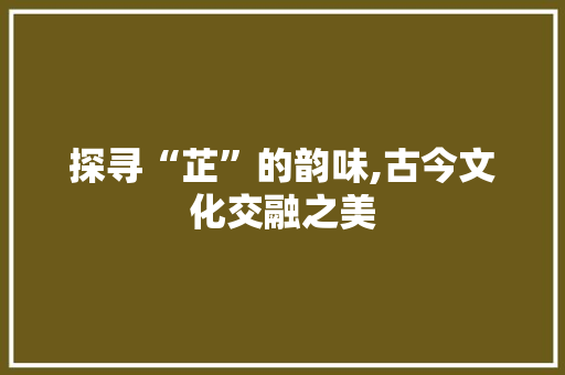 探寻“芷”的韵味,古今文化交融之美