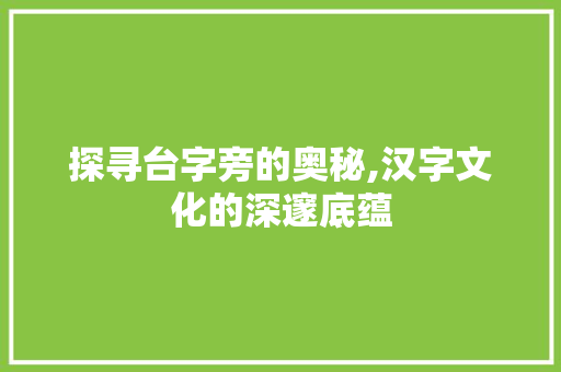 探寻台字旁的奥秘,汉字文化的深邃底蕴