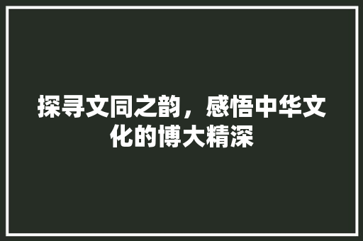 探寻文同之韵，感悟中华文化的博大精深