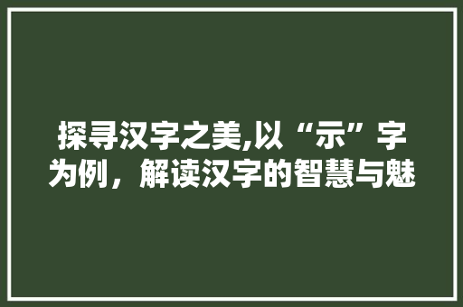 探寻汉字之美,以“示”字为例，解读汉字的智慧与魅力
