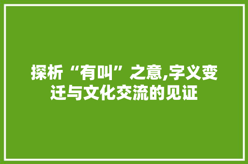 探析“有叫”之意,字义变迁与文化交流的见证