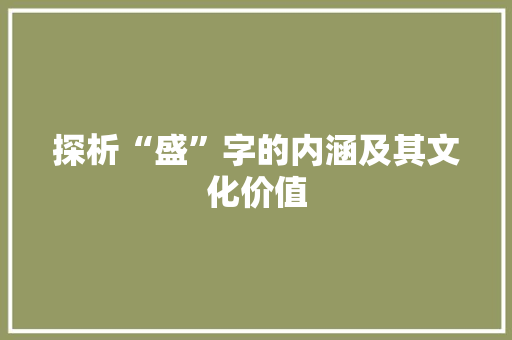 探析“盛”字的内涵及其文化价值