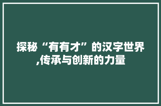 探秘“有有才”的汉字世界,传承与创新的力量