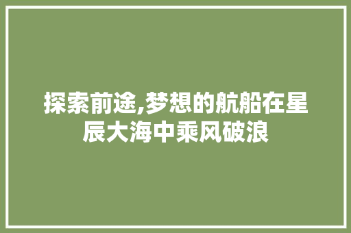 探索前途,梦想的航船在星辰大海中乘风破浪