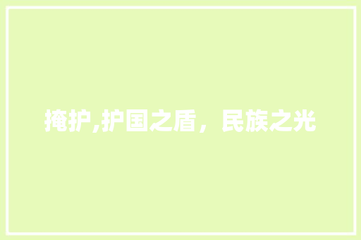 掩护,护国之盾，民族之光