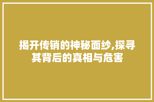 揭开传销的神秘面纱,探寻其背后的真相与危害
