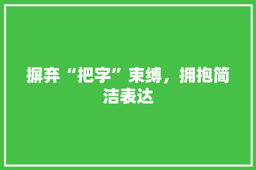 摒弃“把字”束缚，拥抱简洁表达