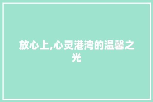 放心上,心灵港湾的温馨之光