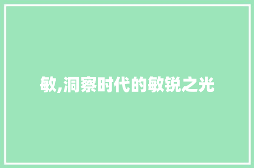 敏,洞察时代的敏锐之光