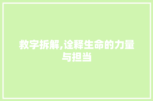 救字拆解,诠释生命的力量与担当