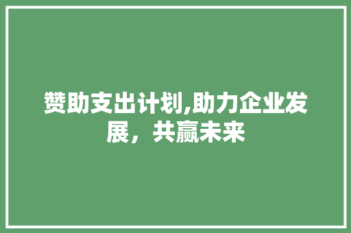 赞助支出计划,助力企业发展，共赢未来