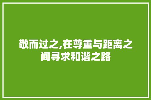 敬而过之,在尊重与距离之间寻求和谐之路