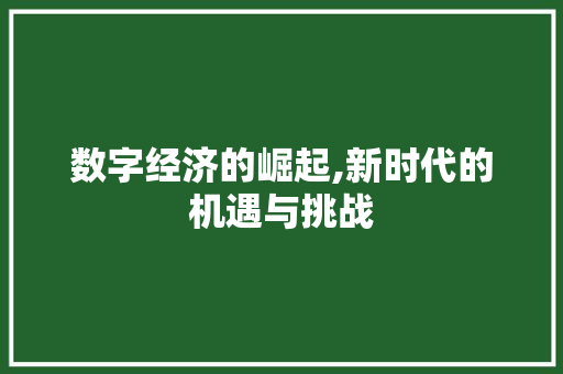 数字经济的崛起,新时代的机遇与挑战