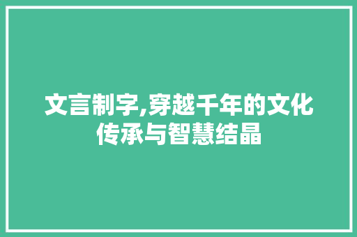 文言制字,穿越千年的文化传承与智慧结晶