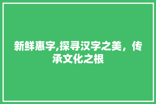 新鲜惠字,探寻汉字之美，传承文化之根