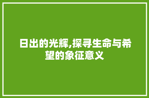 日出的光辉,探寻生命与希望的象征意义