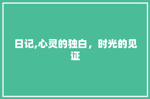 日记,心灵的独白，时光的见证