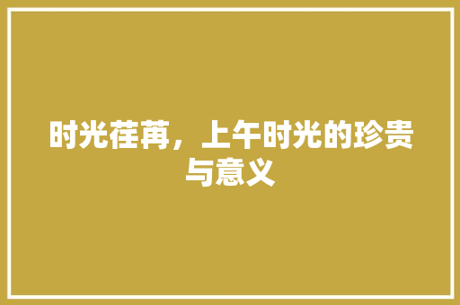 时光荏苒，上午时光的珍贵与意义