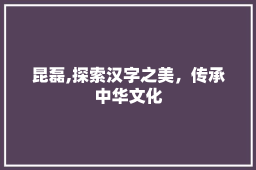 昆磊,探索汉字之美，传承中华文化