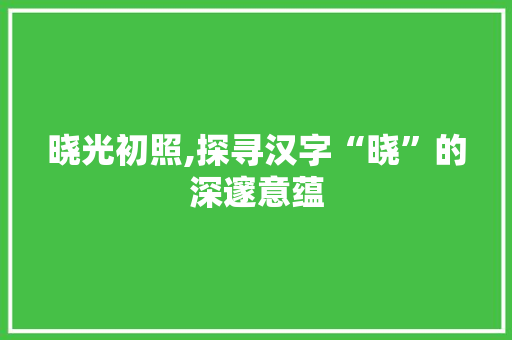晓光初照,探寻汉字“晓”的深邃意蕴