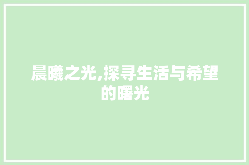 晨曦之光,探寻生活与希望的曙光