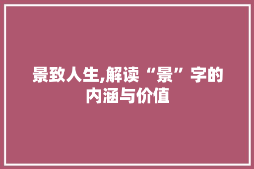 景致人生,解读“景”字的内涵与价值