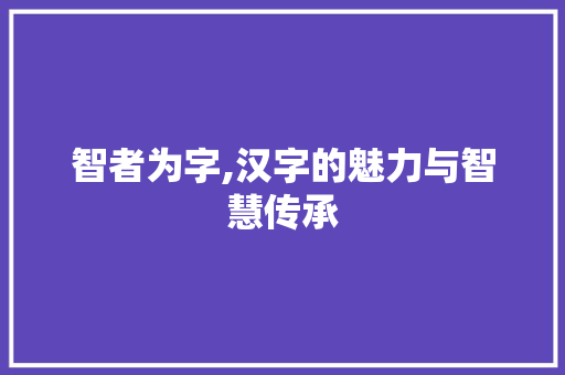 智者为字,汉字的魅力与智慧传承