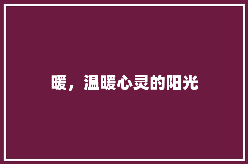暖，温暖心灵的阳光